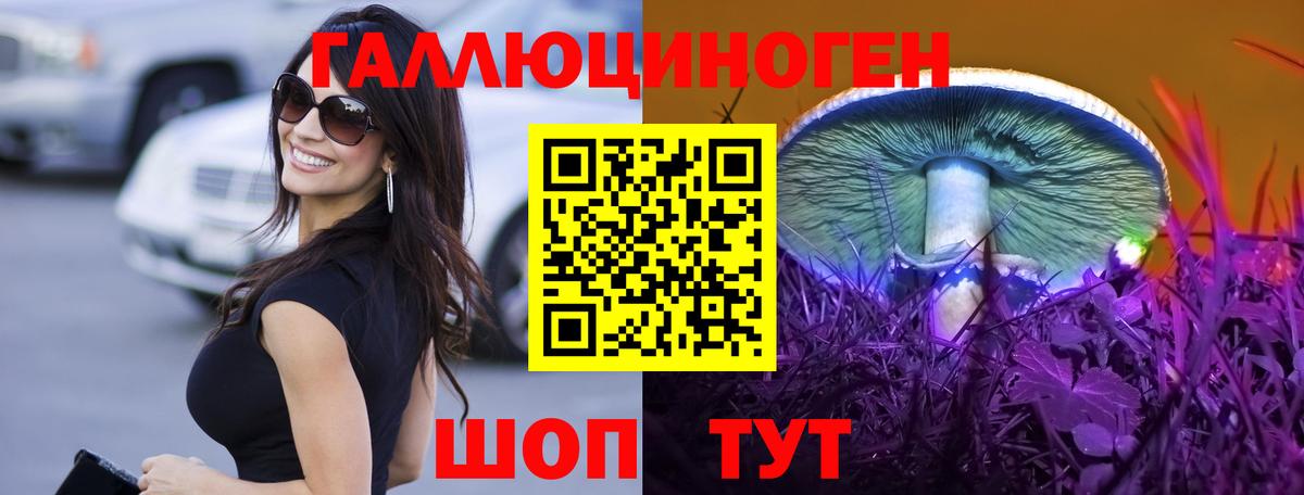 Каменка  Псилоцибиновые грибы Psilocybine cubensis  Вход с VPN 